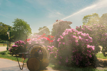 Bewässerung & Gartenschläuche